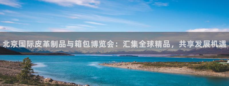 卧龙娱乐地