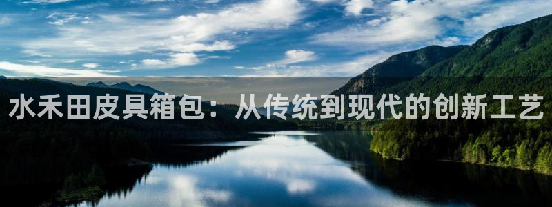 卧龙2神机娱乐注册