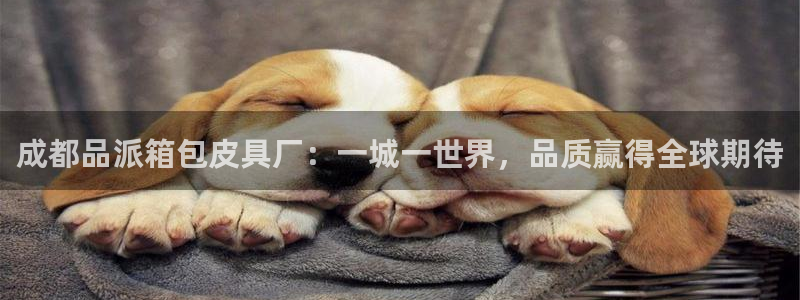 卧龙娱乐设备公司