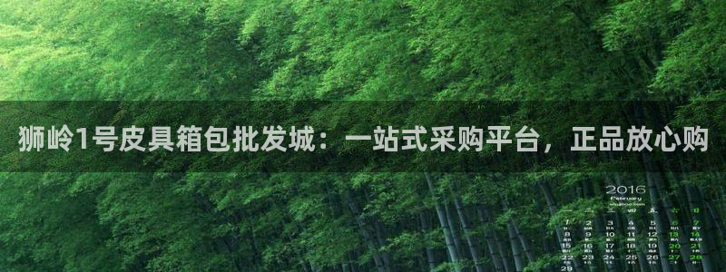 卧龙娱乐招商代理怎么样