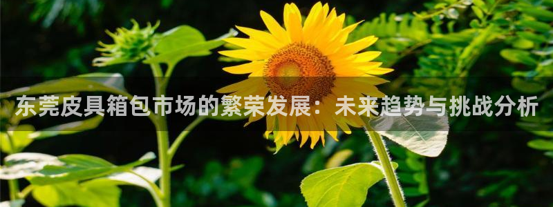 卧龙娱乐彩票官网直播