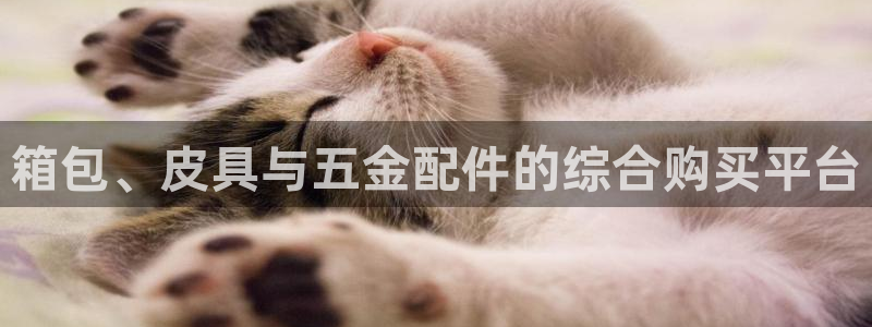 卧龙娱乐设备公司