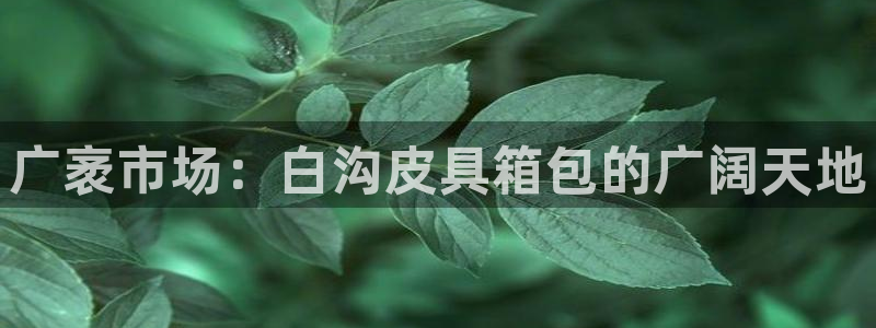 广丰卧龙城娱乐