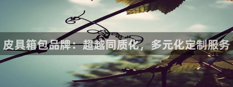 卧龙娱乐382223主管