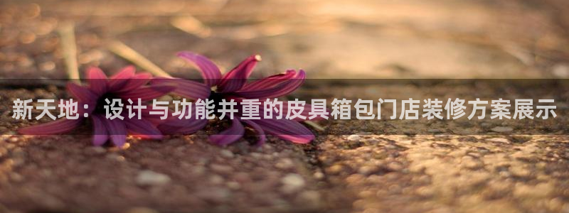 卧龙路凤凰娱乐