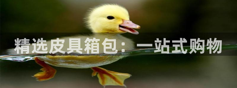 卧龙凤雏直播娱乐
