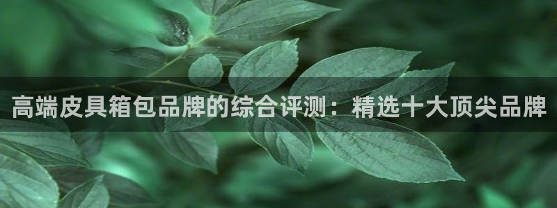 卧龙娱乐招商主管工资