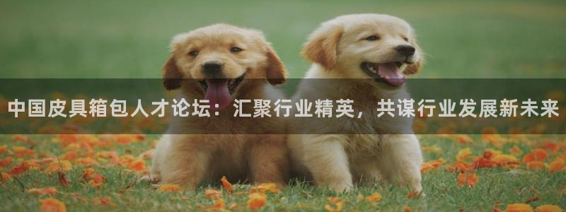 卧龙娱乐在线直播网