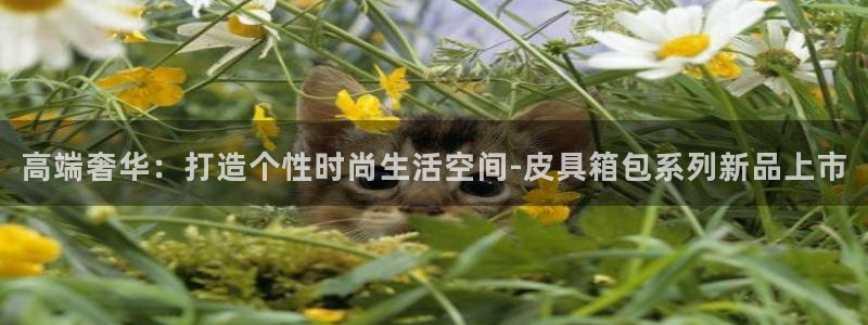 卧龙娱乐天7O667