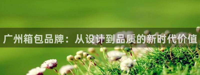 卧龙娱乐挂机平台官网