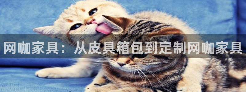 卧龙镇娱乐会所电话