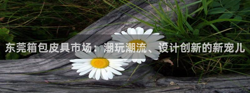 卧龙娱乐挂机平台官网