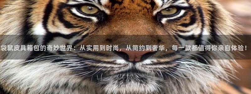 西安卧龙娱乐播报