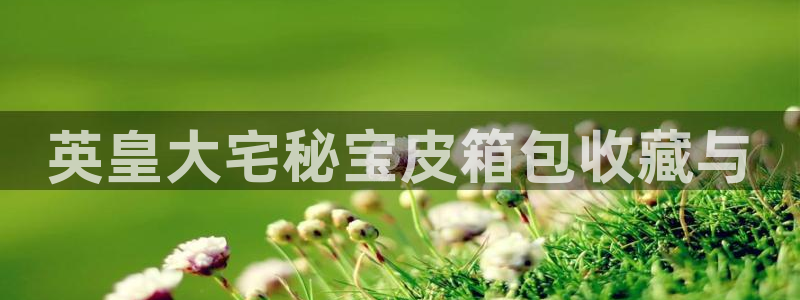 hr娱乐 卧龙主管60447