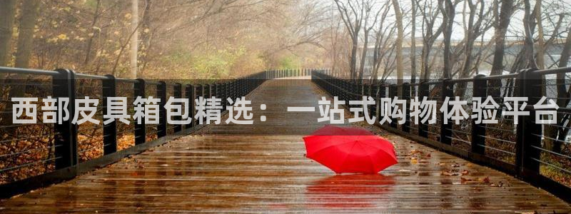 卧龙娱乐账号登录设置