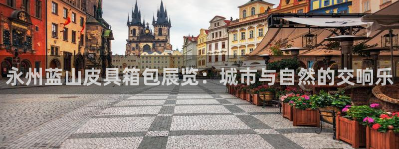 卧龙棋牌娱乐官网