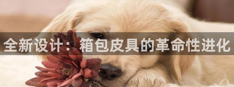 卧龙台球娱乐馆