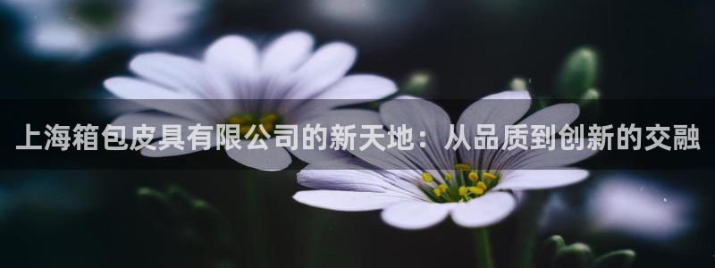 卧龙棋牌娱乐官网