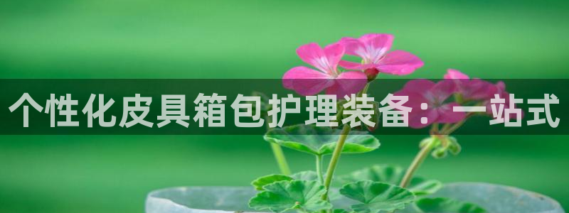 mvp娱乐 卧龙招商60447