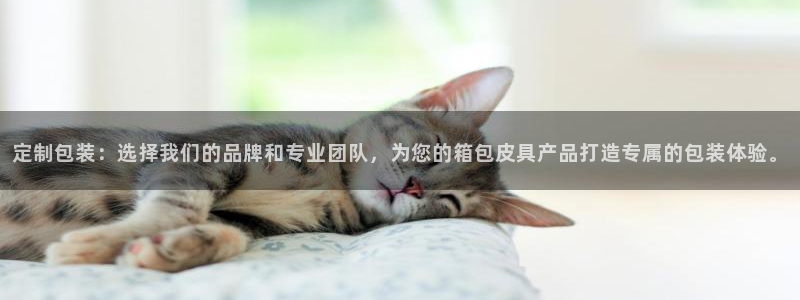 卧龙娱乐老板