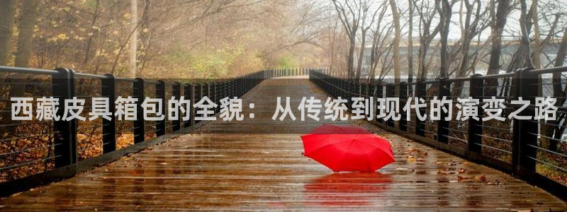 卧龙娱乐总管是谁