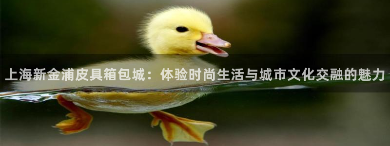 肥羊娱乐卧龙凤雏