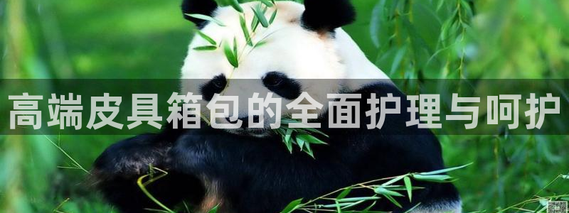 hr娱乐 卧龙招商60447