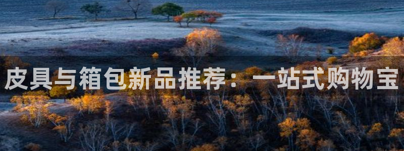 卧龙娱乐集团官网