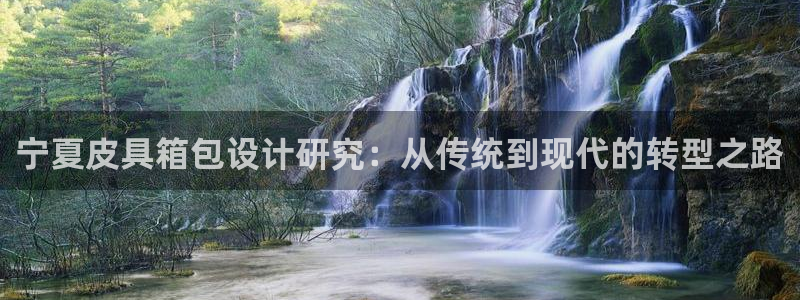 卧龙2神机娱乐