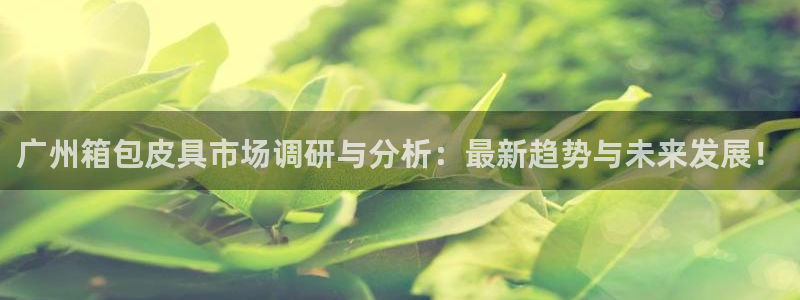 卧龙娱乐在线直播平台