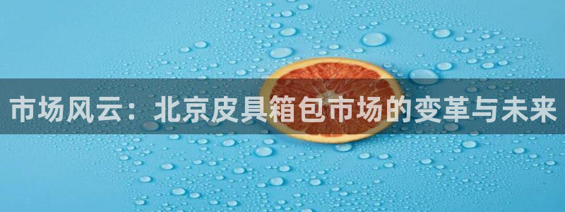 卧龙区维也纳娱乐会所