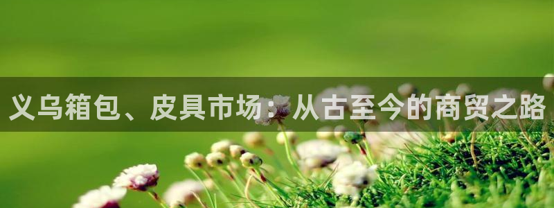 南阳卧龙娱乐城