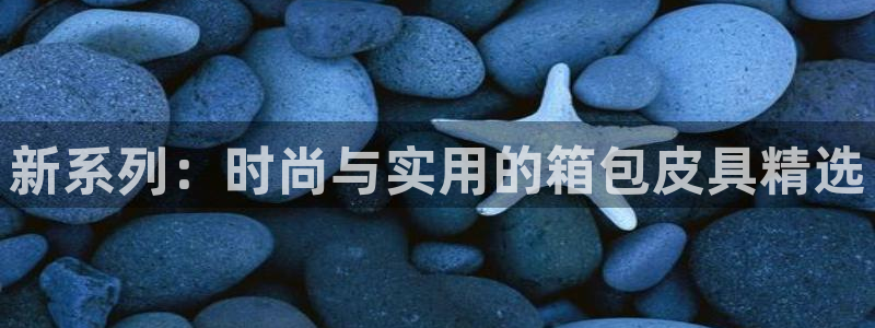 卧龙居餐饮娱乐