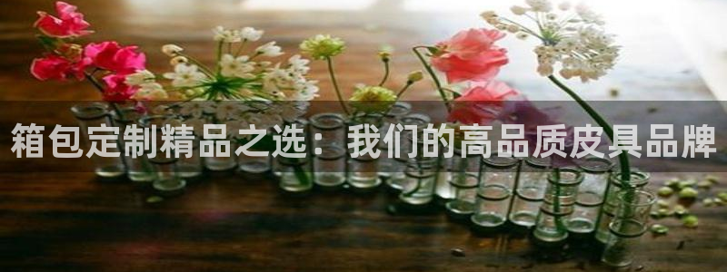 卧龙娱乐在线直播平台