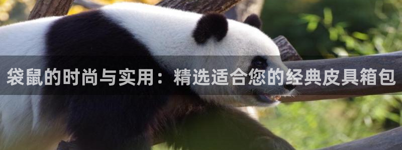 杏耀娱乐卧龙60447