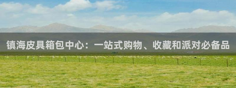 卧龙娱乐软件