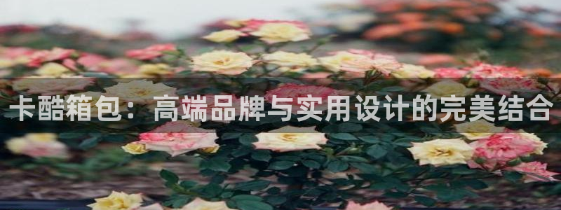 卧龙居餐饮娱乐