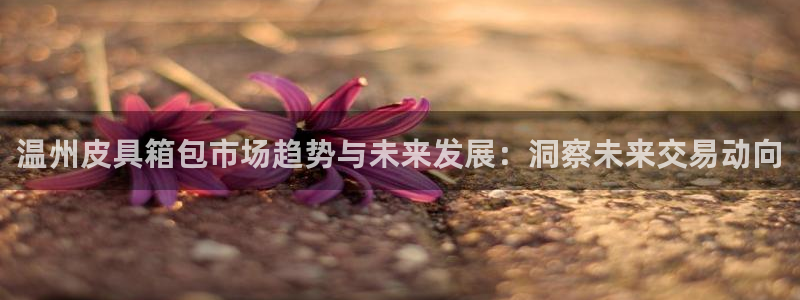 卧龙娱乐地址