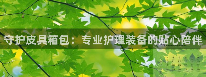 卧龙区娱乐