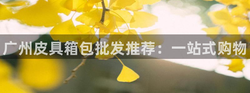 卧龙风雏娱乐