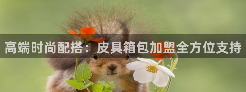 卧龙娱乐官网首页下载