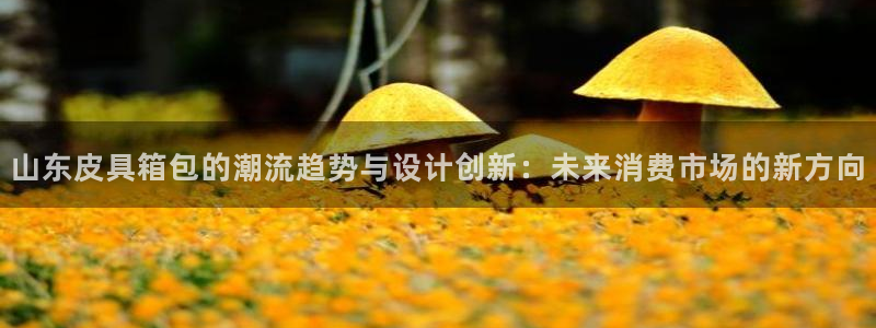 卧龙儿童娱乐设施