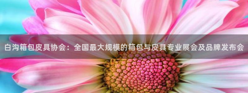 qq娱乐 卧龙主管60447