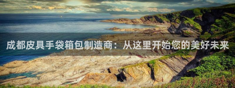 卧龙娱乐设备公司