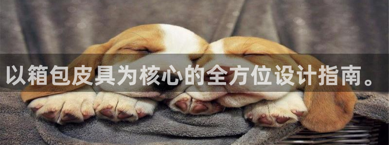 卧龙娱乐网址多少