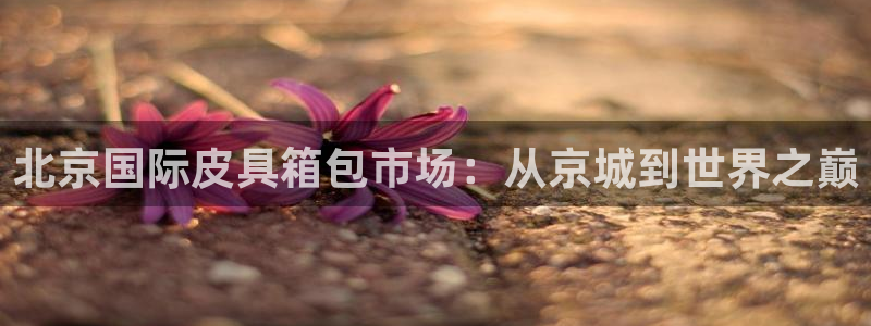 卧龙娱乐总代理是谁呀