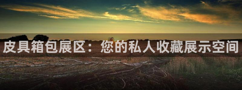 娱乐聚焦卧龙凤雏