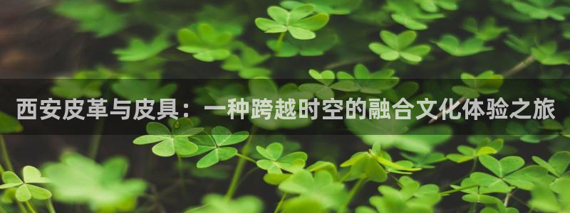 卧龙娱乐app彩票中奖