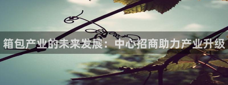 hr娱乐 扣卧龙60447