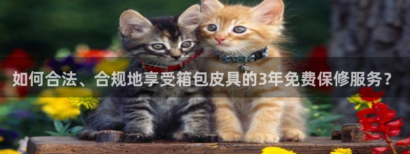 辣椒娱乐卧龙凤雏